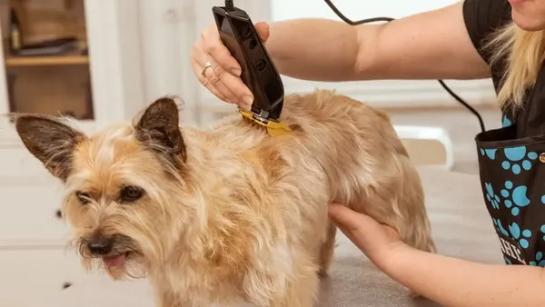 Машинка для стрижки шерсти Wahl 3027683