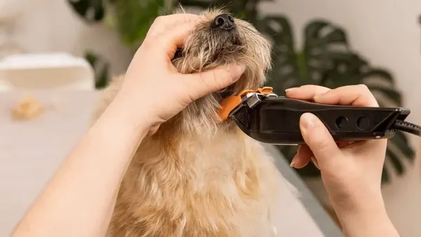 Машинка для стрижки шерсти Wahl 3027683