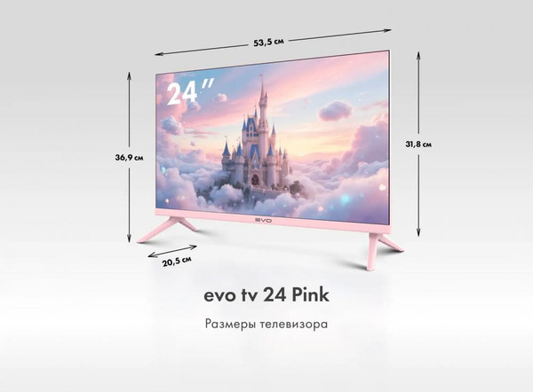 Телевизор Evo TV 24