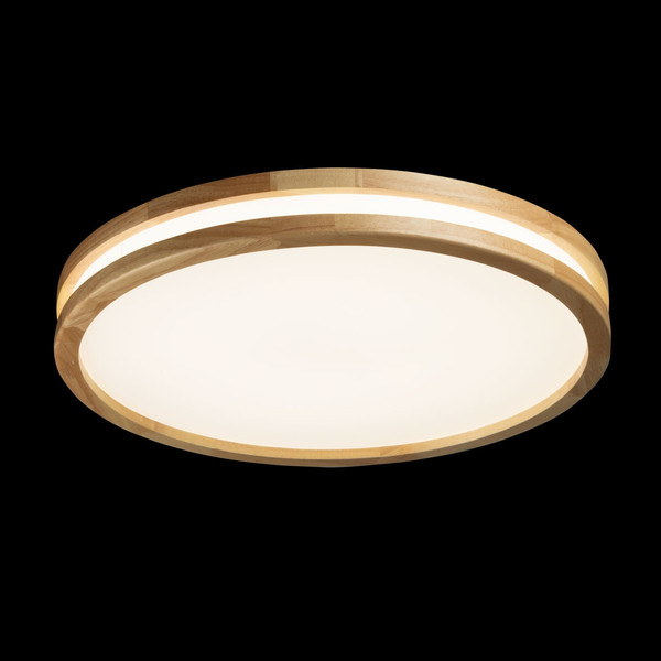 Потолочный светильник De City Норден 660015401 - фото