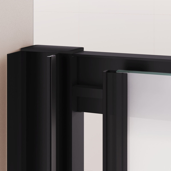 Душевая дверь RGW PA-016B / 350801614-24