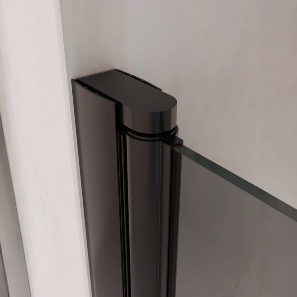 Душевая дверь RGW PA-03B / 54080306-34