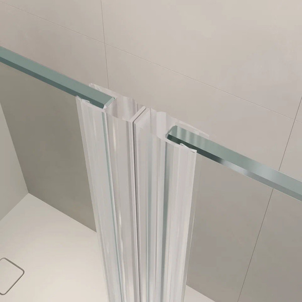 Душевая дверь RGW LE-009 (LE-004 + Z-09) / 351200906-11