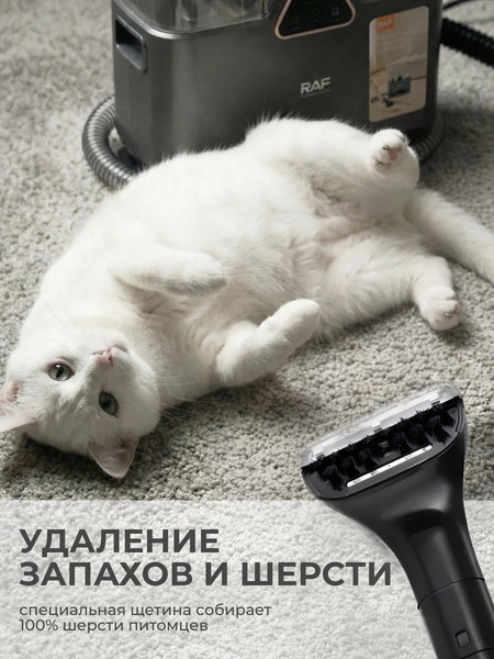 Пылесос RAF R.8783