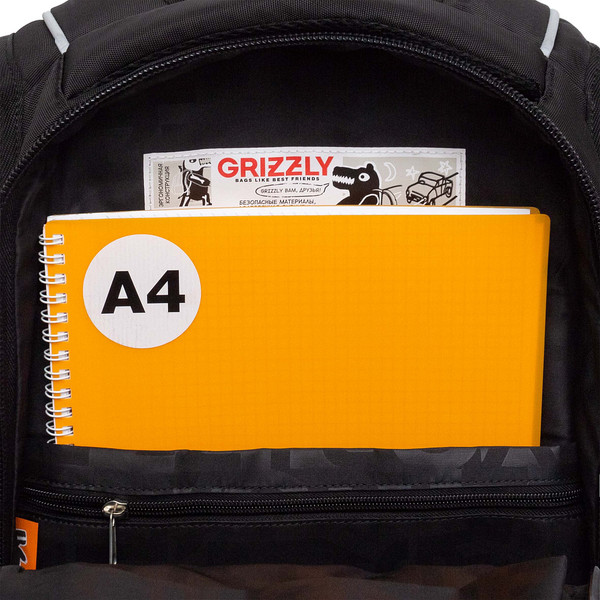 Школьный рюкзак Grizzly RU-638-3