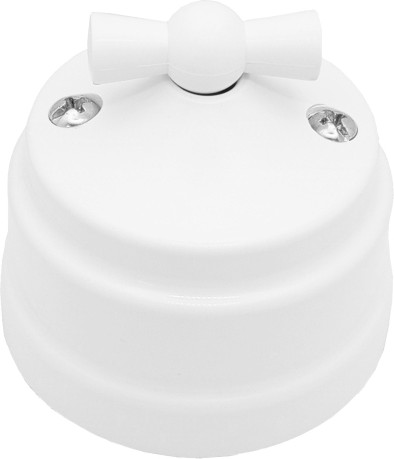 Выключатель Bylectrica А5 10-2292 - фото