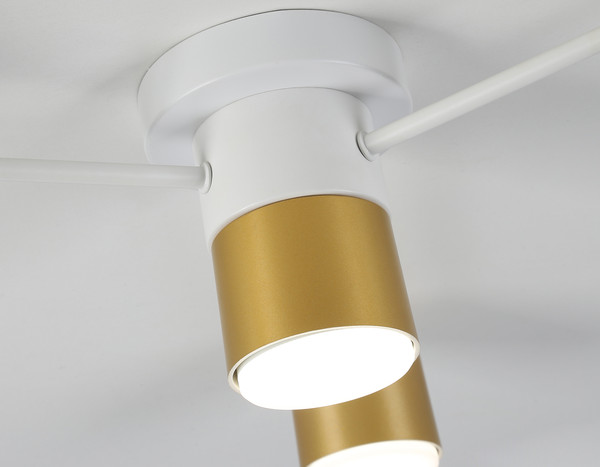 Потолочный светильник Ambrella FL51720/4 WH/GD