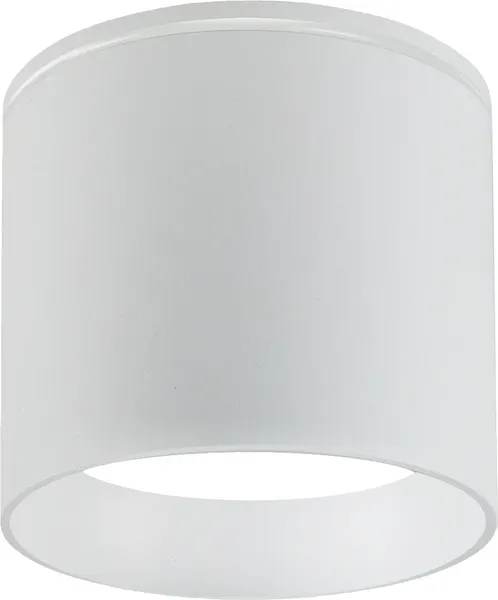 Светильник уличный FAVOURITE Fantum 4662-1U