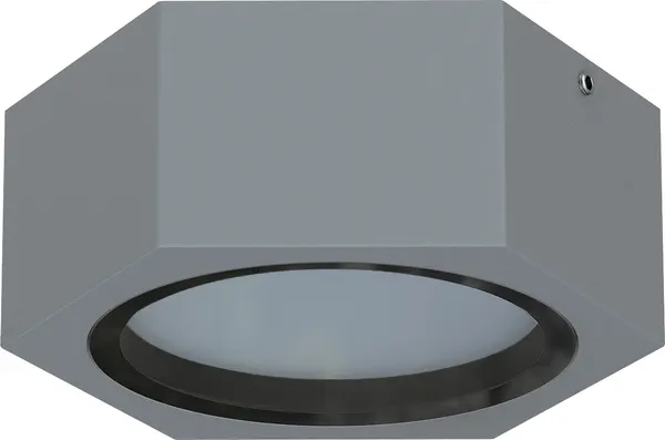 Светильник уличный FAVOURITE Fantum 4666-1U - фото