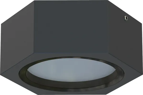 Светильник уличный FAVOURITE Fantum 4667-1U - фото