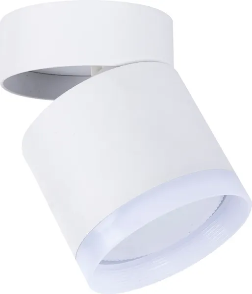 Спот FAVOURITE Dixi 4709-1C - фото