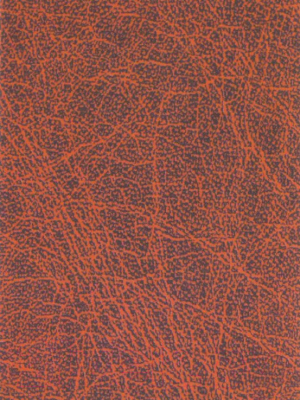 Пленка самоклеящаяся Color Dekor 8119 - фото