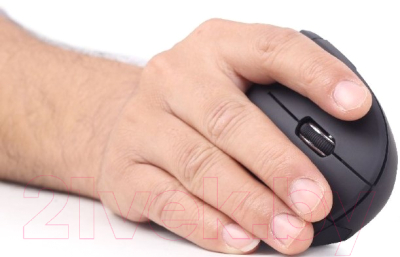 Мышь Gembird MUSW-ERGO-01