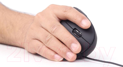 Мышь Gembird MUS-ERGO-01