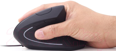 Мышь Gembird MUS-ERGO-01