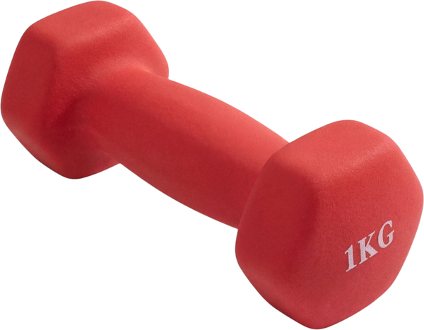 Гантель VictoryFit VF-DHN010-R - фото
