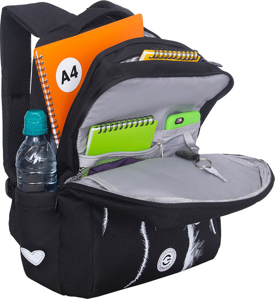 Школьный рюкзак Grizzly RG-666-5