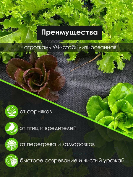 Укрывной материал GreenTerra Агроткань ПП 180 UV 130г/м2
