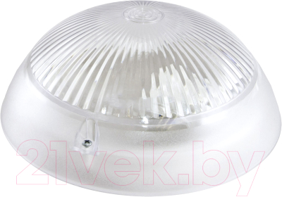 Светильник ЖКХ TDM SQ0322-0005 - фото