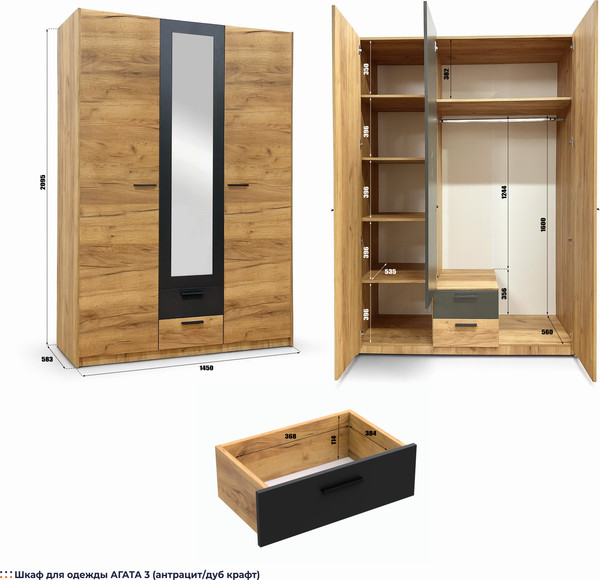 Шкаф Кастанье Агата-3