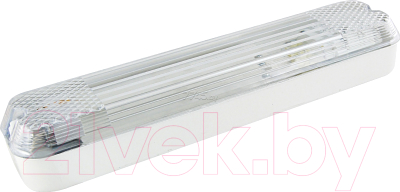 Светильник для подсобных помещений TDM SQ0353-0005 - фото