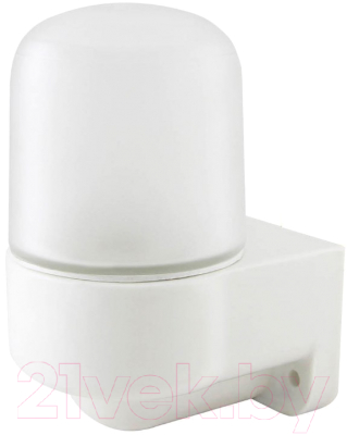 Светильник ЖКХ TDM SQ0303-0050 - фото