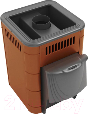 Печь-каменка ТМФ Оса Inox - фото