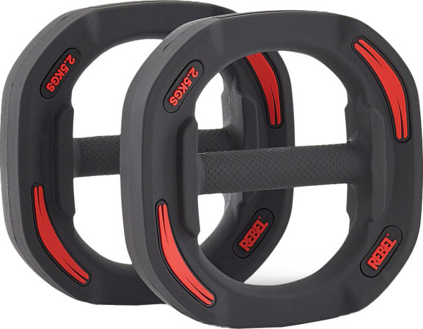 Набор дисков для штанги REBEL R-SMRTD-2.5-PAIR - фото