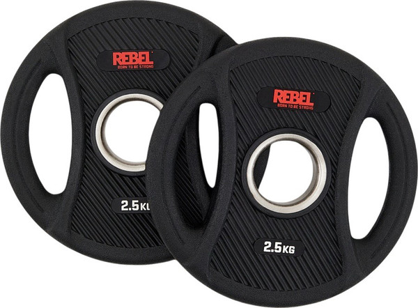 Набор дисков для штанги REBEL R-PVP-2.5-PAIR - фото