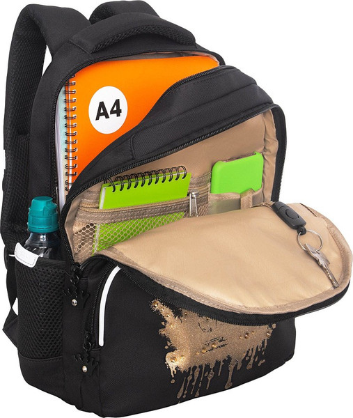 Школьный рюкзак Grizzly RG-660-6