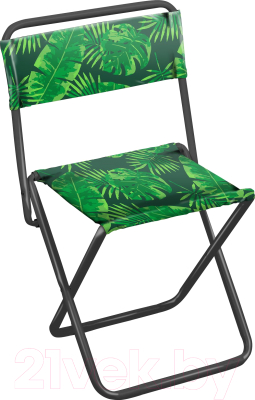 Стул складной Ника Походный со спинкой / ПС2 - фото