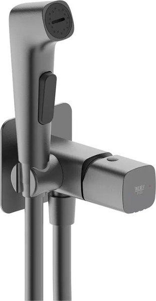 Гигиенический душ со смесителем Vieir V473053G