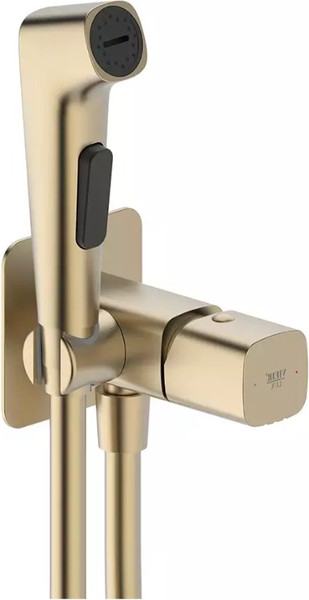 Гигиенический душ со смесителем Vieir V473053S