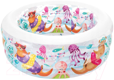 Надувной бассейн Intex 58480