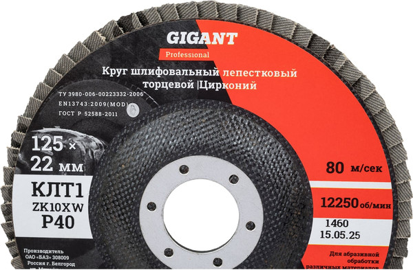 Шлифовальный круг Gigant GNT-P40-10