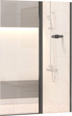 Стеклянная шторка для ванны RGW SC-11B 03111110-14 - фото