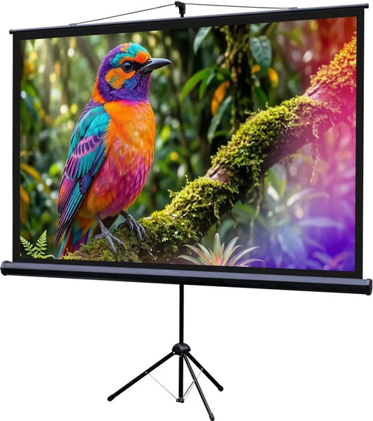 Проекционный экран Lumien Eco Picture 130x227см / LEV-100115