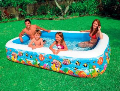 Надувной бассейн Intex 58485NP
