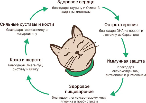 Сухой корм для кошек MyBestie Sensitive Утка с ягненком