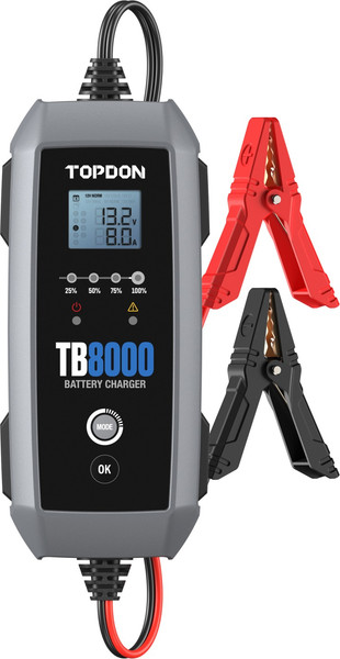 Зарядное устройство для аккумулятора Topdon TB8000 - фото