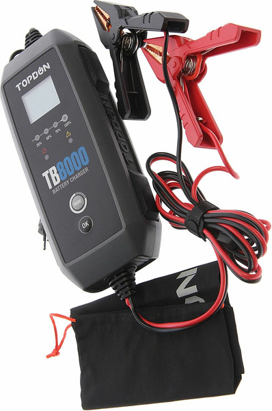 Зарядное устройство для аккумулятора Topdon TB8000