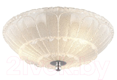 Потолочный светильник Lightstar Zucche 820234 - фото