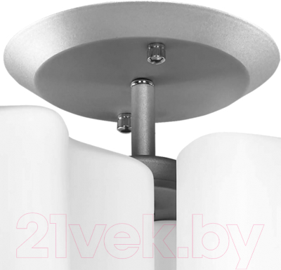 Люстра Lightstar Nubi 802030