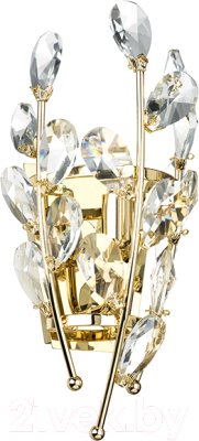 Бра Lightstar Isabelle 791612 - фото