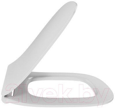 Сиденье для унитаза Jacob Delafon Struktura E70025-00 - фото