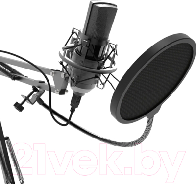 Микрофон Ritmix RDM-180