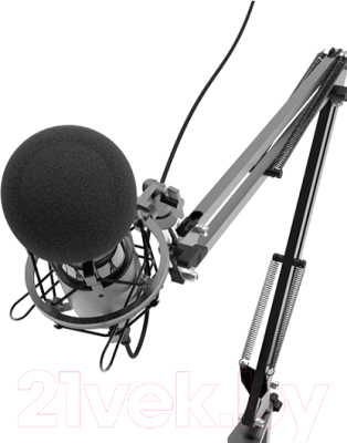 Микрофон Ritmix RDM-180