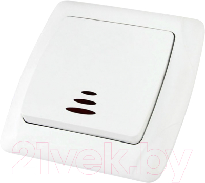 Выключатель TDM Онега SQ1805-0004 - фото