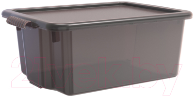 Контейнер для хранения Berossi Porter ИК 29883000 (грозовое небо) - фото