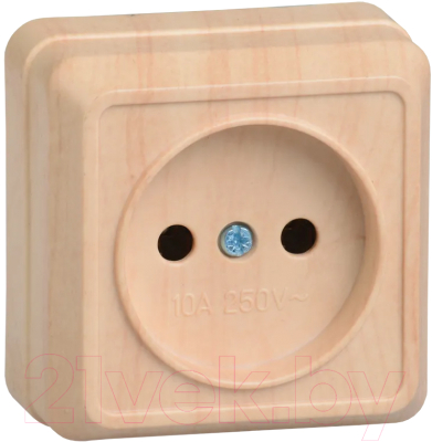 Розетка IEK Октава ERO10-K03-10-DC - фото